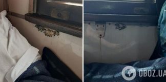 «Бонус к поездке?» Сеть взбудоражили фото грибов, выросших прямо в поезде УЗ. Фото
