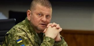 Отставка Залужного: Офис Зеленского проинформировал США о планах уволить Главкома ВСУ — СМИ