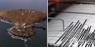 Около острова Змеиный зафиксировали землетрясение: детали