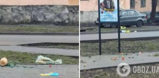 На Днепропетровщине вандалы изуродовали Аллею памяти погибших Героев: фото