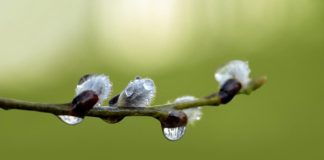 Придут атмосферные фронты: когда в Украине ждать порцию осадков