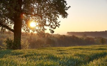 Украинцев предупредили о существенном изменении погоды после периода аномальной жары