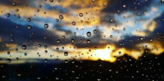 Часть Украины накроют дожди с грозами: где прогнозируют непогоду 29 апреля