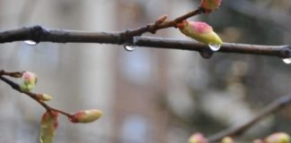 Украину ждет волна непогоды: синоптики сказали, какие области минуют грозы