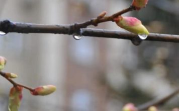 Украину ждет волна непогоды: синоптики сказали, какие области минуют грозы