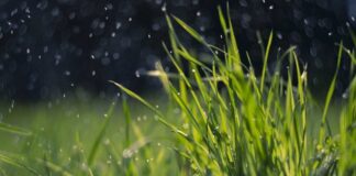 В начале лета Украину накроют не только проливные ливни: синоптик уточнил прогноз