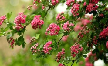 Переменная облачность, временами дожди: синоптики дали прогноз погоды на четверг, 23 мая