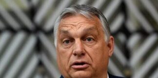 Стало известно ключевое требование Орбана к Украине по Закарпатью: «Традиционно венгерское», — СМИ