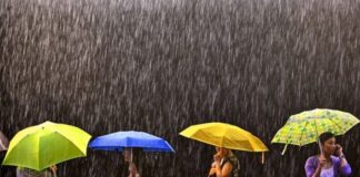 Завтра в Украине много дождей, но не везде: в каких областях будет сухо