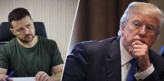 СМИ узнали новые подробности разговора Трампа и Зеленского: «Украина может вздохнуть с облегчением»