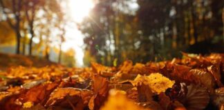 Завтра украинцев ожидает сюрприз: синоптики о погоде на вторник