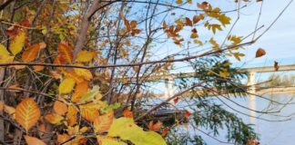 Синоптики обещают аномальное тепло: какие сюрпризы ждут украинцев в ноябре