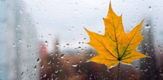 Три области Украины накроют ливни с грозами — в какие дни ждать непогоды