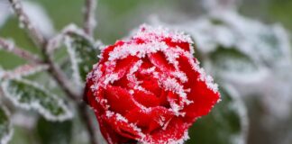 В Украину идут осенние дожди и заморозки: в четырех областях температура опустится ниже нуля