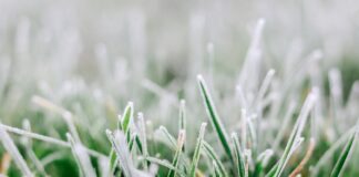 «Лето закончилось», — синоптик рассказала, где в Украине в ближайшие дни будут дожди и заморозки