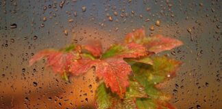 В Украину в воскресенье ворвется циклон Finny – дожди обойдут стороной только два региона