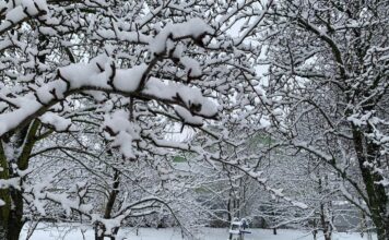 Погода в Украине в декабре: метеоролог рассказал, когда ждать вторжения холодного арктического воздуха