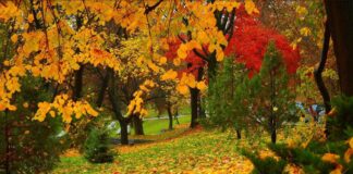 Два дня почти летнего тепла: в трех регионах Украины резко повысится температура