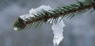 Перед Рождеством Украину накроет тепло: в каких областях до +15 градусов