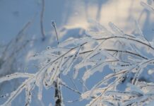 Волна холода из Арктики идет в Украину: синоптик рассказал, когда ждать мороз до –10°C