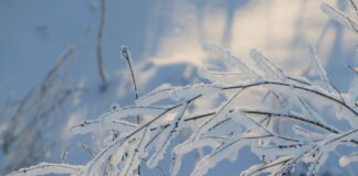 Волна холода из Арктики идет в Украину: синоптик рассказал, когда ждать мороз до –10°C