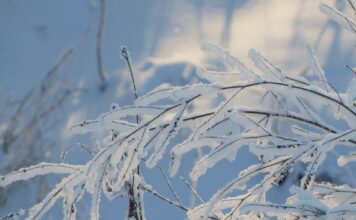 Волна холода из Арктики идет в Украину: синоптик рассказал, когда ждать мороз до –10°C
