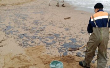 Мазут с затонувших танкеров РФ начал заливать пляжи Севастополя — оккупанты бьют тревогу