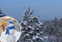 Украину накрыл арктический воздух, в ряде областей ожидается до –21°C: прогноз на неделю