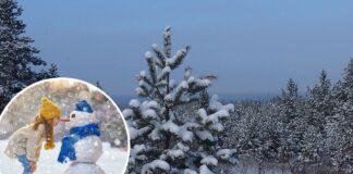 Украину накрыл арктический воздух, в ряде областей ожидается до –21°C: прогноз на неделю
