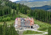 В Украине национализировали активы главного экс-охранника Януковича на крупную сумму – Офис Генпрокурора