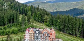 В Украине национализировали активы главного экс-охранника Януковича на крупную сумму – Офис Генпрокурора