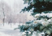 Сугробы до 30 см: синоптик рассказал, когда Украину начнет заметать