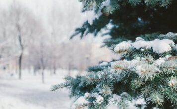 Сугробы до 30 см: синоптик рассказал, когда Украину начнет заметать