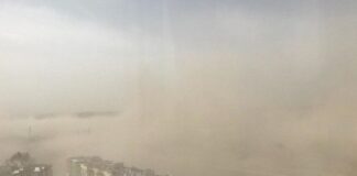 Часть Украины накрывает пылевая буря: какие области затронет опасное явление