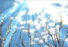 В Украину идет мощное тепло: синоптик рассказала хорошие новости о погоде