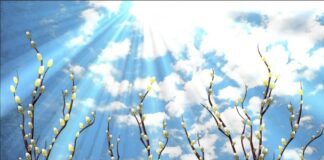 В Украину идет мощное тепло: синоптик рассказала хорошие новости о погоде