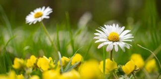 Похолодание будет недолгим: синоптик назвал дату резкого потепления в Украине