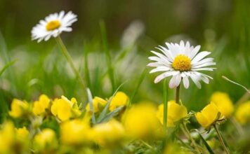 Похолодание будет недолгим: синоптик назвал дату резкого потепления в Украине