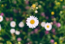 Май не радует теплом: как долго в Украине продержится холодная погода