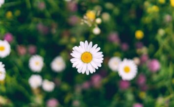 Май не радует теплом: как долго в Украине продержится холодная погода