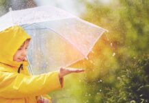 Аномалии июня: какие регионы Украины накроет жара с первых дней лета, а где продолжатся дожди