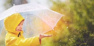 Аномалии июня: какие регионы Украины накроет жара с первых дней лета, а где продолжатся дожди