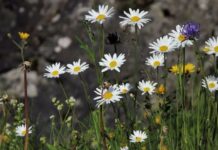 На Украину надвигается «адская жара», которая обойдет только одну часть страны