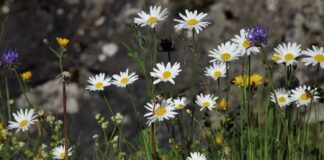 На Украину надвигается «адская жара», которая обойдет только одну часть страны