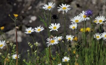 На Украину надвигается «адская жара», которая обойдет только одну часть страны