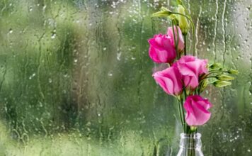 Июнь в Украине завершится прохладой и дождями: когда вернется тепло и где будет жарче всего