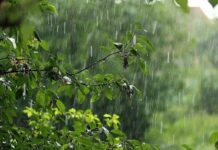 Украину в воскресенье ждет капризная погода: синоптики рассказали, к чему готовиться