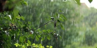 Украину в воскресенье ждет капризная погода: синоптики рассказали, к чему готовиться