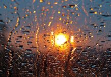 Погода на День Независимости: синоптик рассказала, в каких областях пройдут дожди, а где будет сухо