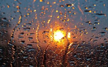 Погода на День Независимости: синоптик рассказала, в каких областях пройдут дожди, а где будет сухо